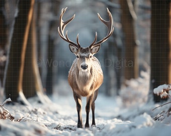 Reindeer In A Winter Forest, Christmas Digital Backdrop, Winter Background, Winter Forest Background