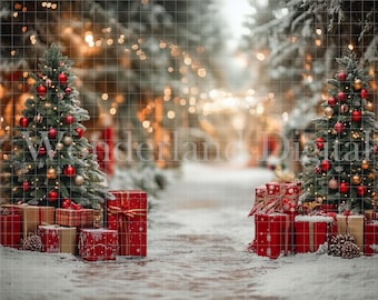 Digitale kerstachtergrond voor fotografie - Winterpad met kerstbomen - Kerstachtergrond voor buiten voor fotocomposities