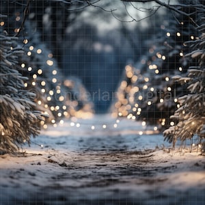 Toile de fond numérique hiver sapin de Noël ferme, sentier d'hiver avec arbres de Noël, lumières bokeh de Noël, arrière-plan numérique