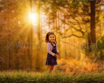 Digital Backdrop/Background, Autumn Forest Background with Grass Overlay On A Transparent Background, Summer/Fall Backdrop