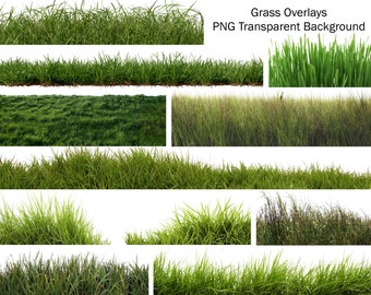 20 PNG Grass Overlays, Transparent Background, Real Grass Overlays, Photoshop Overlays, Instant Digital Download