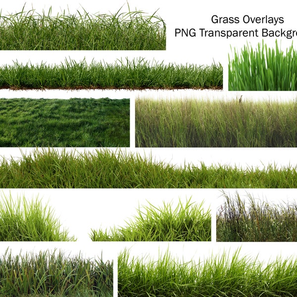 20 PNG Grass Overlays, Transparent Background, Real Grass Overlays, Photoshop Overlays, Instant Digital Download