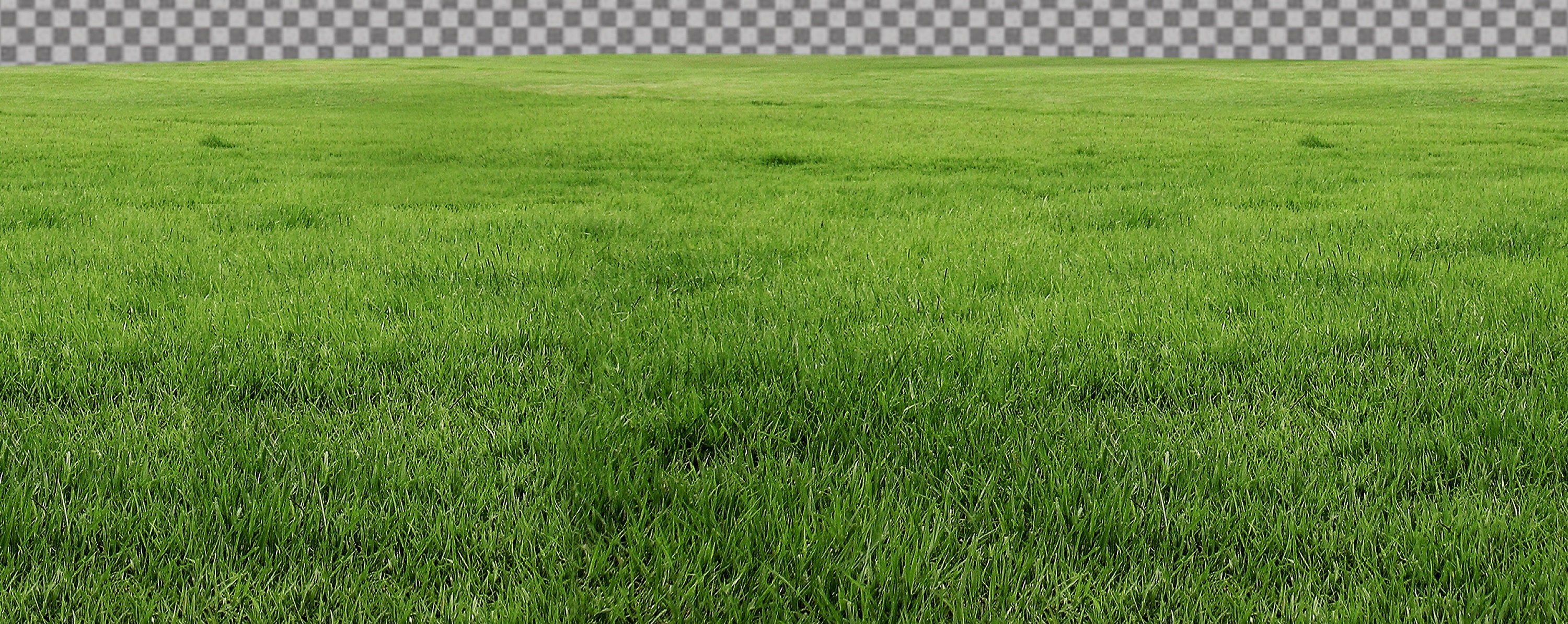 20 PNG Grass Overlays Transparent Background Real Grass Etsy UK