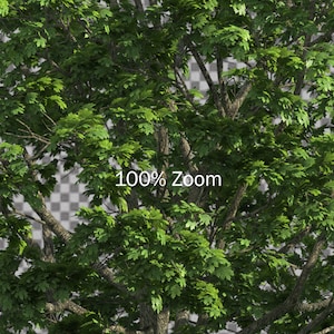 50 Tree Overlays, PNG Transparent Background, Photography Overlays image 5