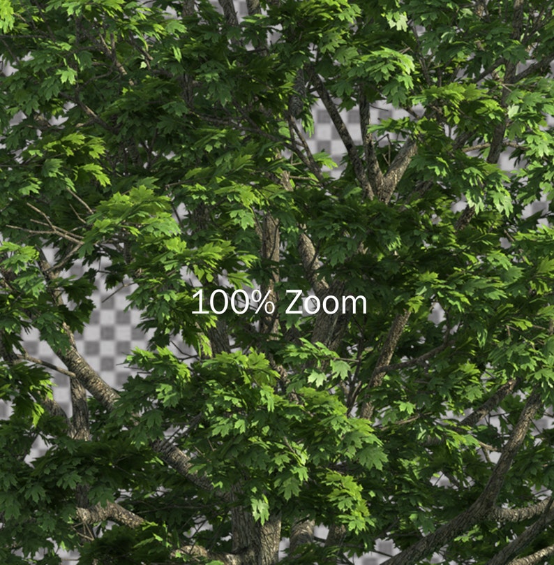 50 Tree Overlays, PNG Transparent Background, Photography Overlays image 5