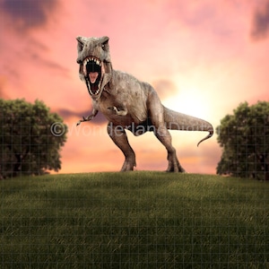 Aperturee Various Cartoon Dinosaurs Two Rex Round Backdrop