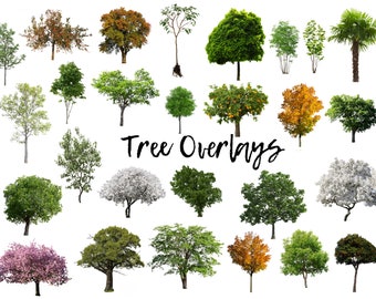 50 Tree Overlays, PNG Transparent Background, Photography Overlays