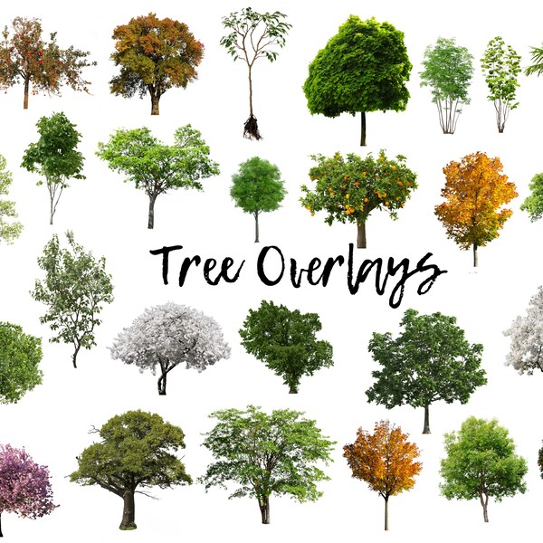 Tree - Etsy
