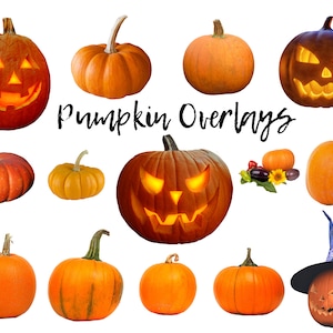 May include: A collection of 12 orange pumpkins, some carved with jack-o'-lantern faces, some with a witch's hat, and some plain. The text "Pumpkin Overlays" is written in black cursive.