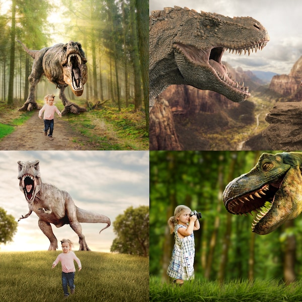 Dinosaur Digital Backdrop Bundle, 4 Pack, High Quality JPG images for Photoshop, Digital Background