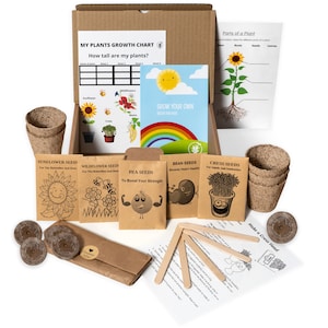 Kit di semi per bambini, Set da giardino per bambini, Kit da giardinaggio per bambini, Kit da giardinaggio per bambini, Coltiva il tuo kit per bambini, Kids Activity Box