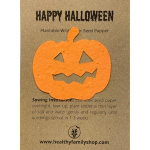 Bomboniera per feste di Halloween. Riempitivi per sacchetti per feste senza plastica. Bomboniera ecologica per feste. Forme di carta con semi di zucca. Riempitivo per sacchetti per feste di Halloween.