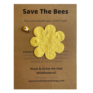Riempitivi per sacchetti da festa senza plastica. Bomboniera ecologica per feste. Bomboniera alternativa per feste. Riempitivo ecologico per calze. Regalo sostenibile.