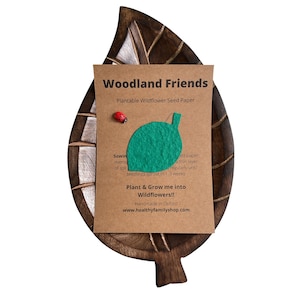 Riempitivi di sacchetti per feste ecologici. Bomboniere senza plastica. Forme di carta seminate. Carta da seme piallabile Fiori di campo.