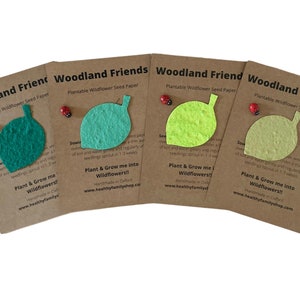 Riempitori per sacchetti da festa senza plastica. Bomboniera ecologica. Favore del partito alternativo. Riempitivo per calze ecologiche. Regalo sostenibile.