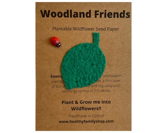 Plastic Free Party Bag Fillers. Eco- Friendly Party Favour. Alternative Party Favour. Eco Stocking Filler. Sustainable Gift.