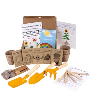 Kit di semi per bambini, Set da giardino per bambini, Kit giardinaggio per bambini, Kit giardinaggio per bambini, Kit per crescere il tuo kit per bambini, Scatola di attività per bambini