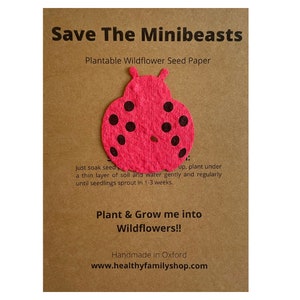 Riempitori per sacchetti da festa senza plastica. Bomboniera ecologica. Favore del partito alternativo. Riempitivo per calze ecologiche. Regalo sostenibile.