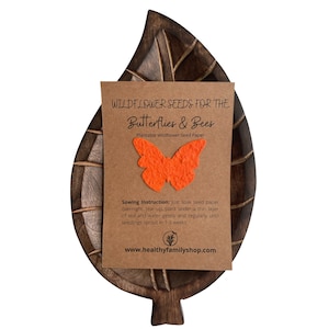 Bomboniere. Regalo per festa di nozze. Bomboniera ecologica. Favore del partito alternativo. Forme di carta di semi di farfalla