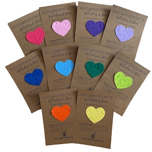 Riempitori per sacchetti da festa senza plastica. Bomboniera ecologica. Favore del partito alternativo. Riempitivo per calze ecologiche. Regalo sostenibile.