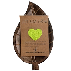 Bomboniere. Regalo per festa di nozze. Bomboniera ecologica. Favore del partito alternativo. Forme di carta seme di cuore