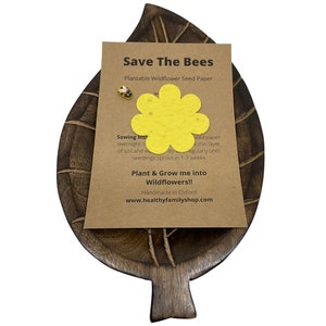 Riempitori di sacchetti per feste ecologici. Bomboniere senza plastica. Forme di carta seminata. Carta da semi piantabili Fiori di campo.