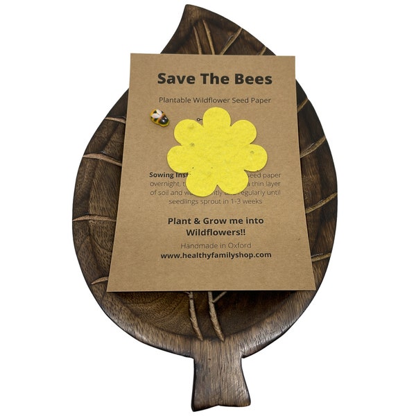 Eco- Friendly Party Bag Fillers. Plastic Free Party Favours. Seeded Paper Shapes. Plantable seed paper Wildflowers.