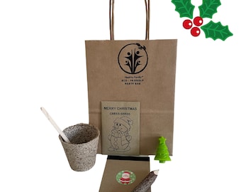 Eco Friendly Christmas Party Bags, Plastic-free, Pre-filled, Alternative Party Favour, Christmas Party