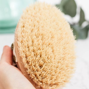 Body Brush, Dry Massage Brush, Dry Skin Brush, Tampico, Bulk dry brushes, Natural Brush, Body Scrubber, Skin Care, Ecofriendly, Vegan, Eco image 10