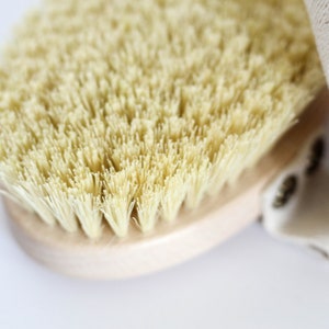 Body Brush, Dry Massage Brush, Dry Skin Brush, Tampico, Bulk dry brushes, Natural Brush, Body Scrubber, Skin Care, Ecofriendly, Vegan, Eco image 6