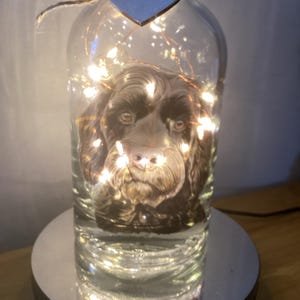 May include: A decorative glass bottle featuring a brown dog portrait, lit by fairy lights. The bottle has a cork stopper, twine, and a wooden heart tag. The bottle is displayed on a silver-coloured circular base.