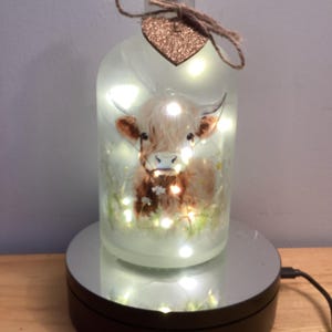 Highland cow light up bottle, bottle lamp,  can be personalised, free gift messaging service & gift bag