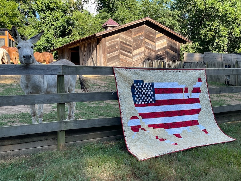 May include: A grey donkey stands behind a wooden fence, looking at a large quilt depicting the United States flag in the shape of the country. The quilt is hanging on the fence and is made of red, white and blue fabric.