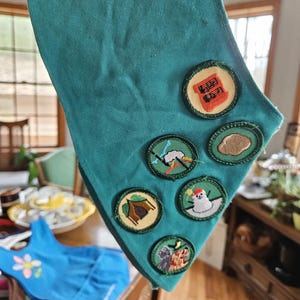 May include: A teal green sash with several embroidered patches. The patches feature images of a building, lightning, a tent, a snowman, a piece of land, and two animals. The sash is made of a textured fabric.
