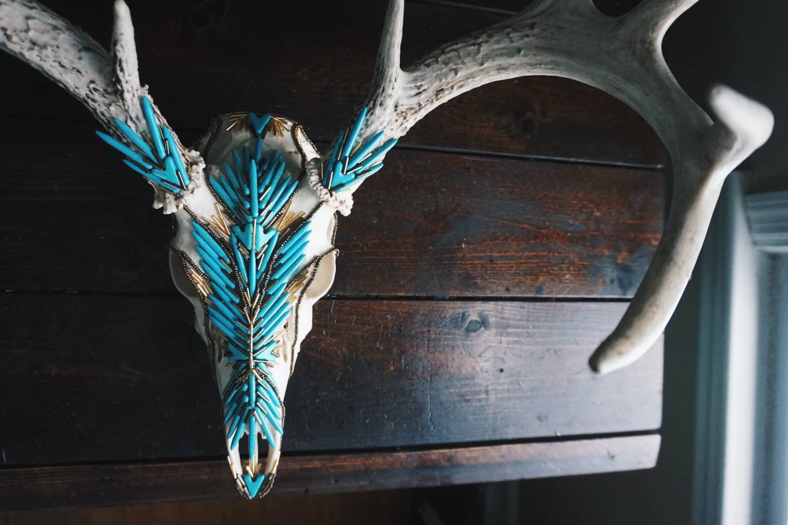 Turquoise Beaded Whitetail Deer Skull Wall Art Taxidermy Etsy