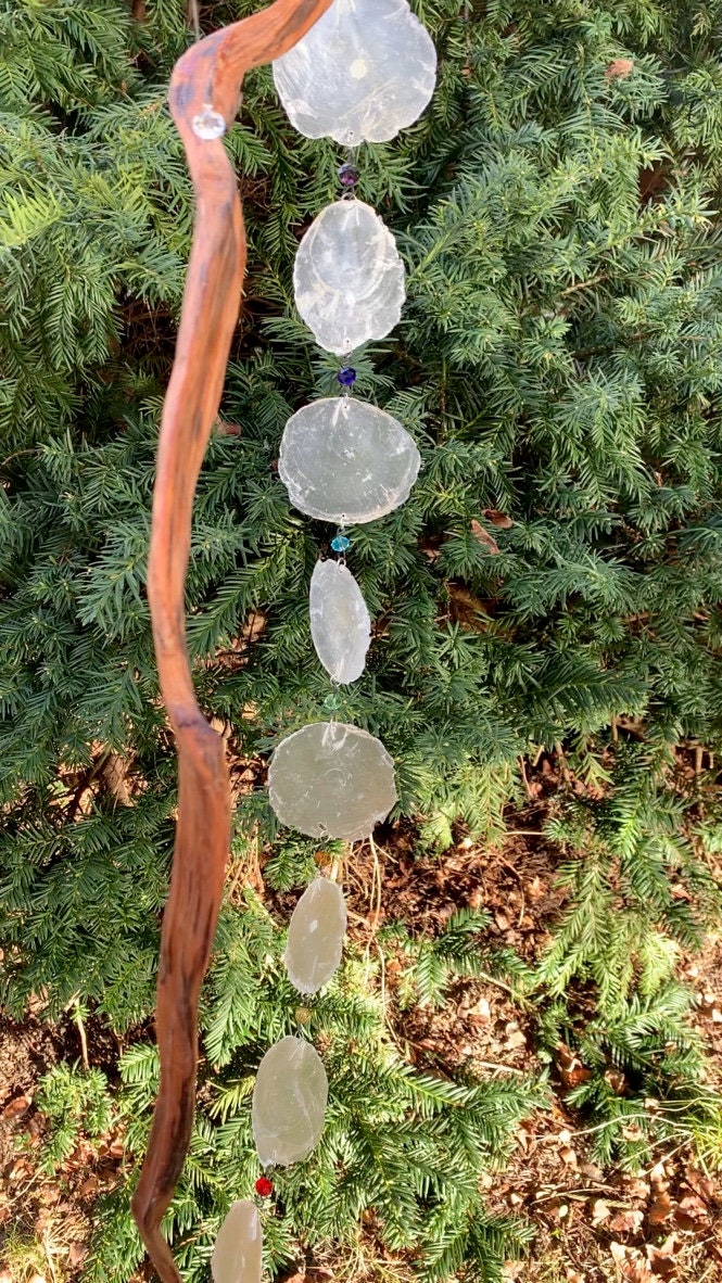 Windspiel Garten hängend aus Kiefernast und Muscheln Etsy