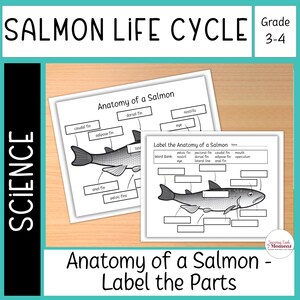 May include: Educational worksheet titled "Salmon Life Cycle" with "Anatomy of a Salmon" diagrams. Includes labels for parts like dorsal fin, caudal fin, and pelvic fins. The text "SCIENCE" is on the left side. Grade 3-4.
