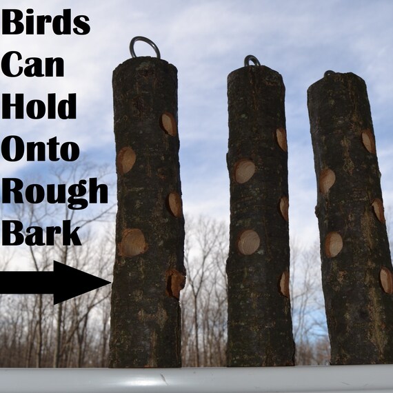 Log Suet Bird Feeders Etsy