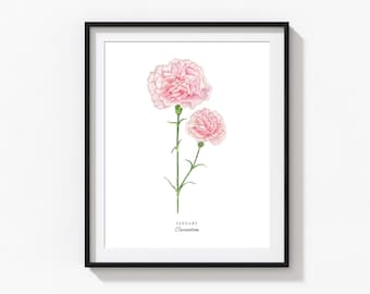 Carnation Art Print, Personalized January Birth Flower Print, Watercolor Pink Carnation, Custom Baby Gift, Birth Flower Wall Art