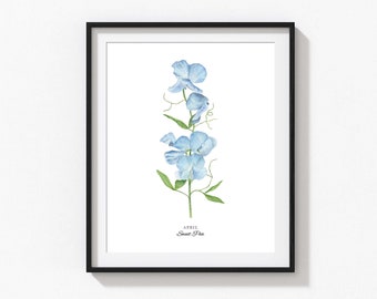 Sweet Pea Art Print, Personalized April Birth Flower Print, Watercolor Sweet Pea, Custom Baby Gift, Birth Flower Wall Art