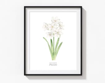 Paperwhite Narcissus Art Print, Personalized December Birth Flower Print, Watercolor Paperwhites, Custom Baby Gift, Birth Flower Wall Art