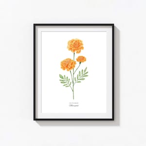 Marigold Art Print, Personalized October Birth Flower Print, Watercolor Marigold, Custom Baby Gift, Birth Flower Wall Art