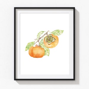 Persimmon Art Print, Kitchen Wall Art, Home Wall Art, Fruit Wall Art, Nursery Wall Art, Watercolor Persimmon, Fruit Illustration