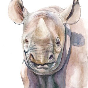 Black Rhinoceros Watercolor Portrait Print