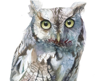 Eastern Screech Owl Watercolor Portrait - Digital Download