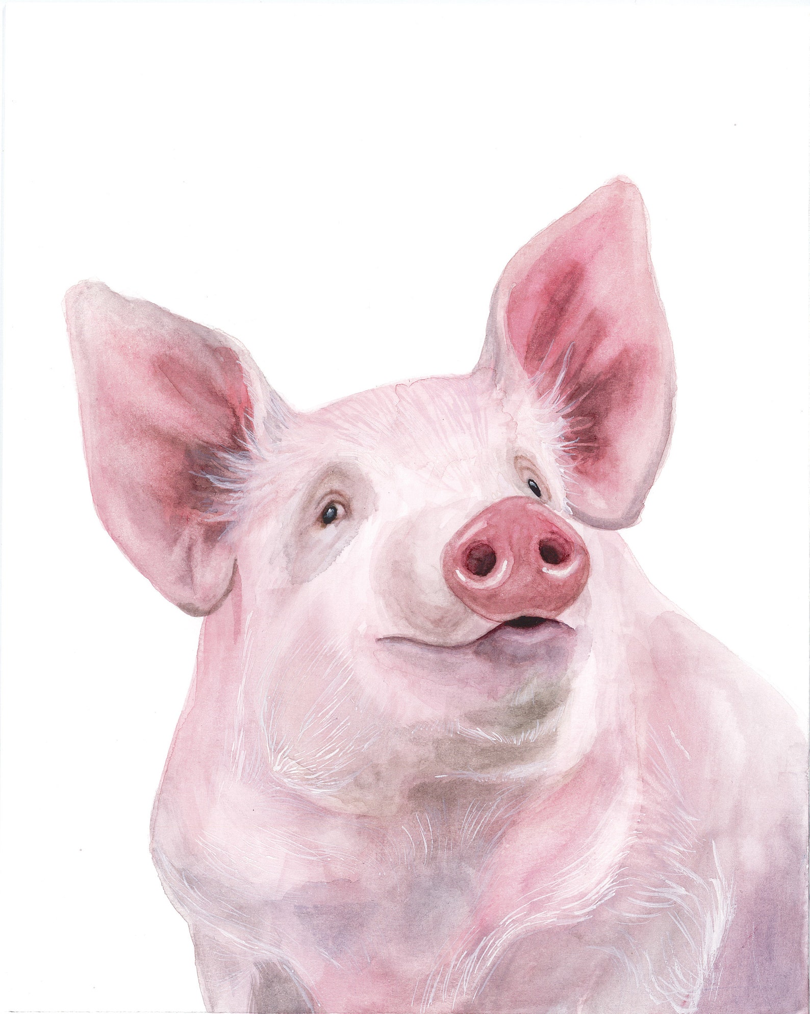 Pig Watercolor Portrait Print - Etsy Hong Kong