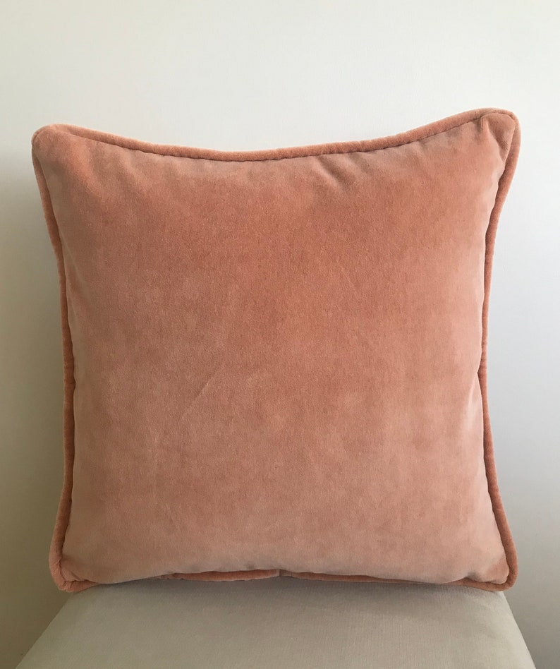 May include: A soft, blush-colored velvet pillow with a simple, square shape and a subtle seam around the edges.