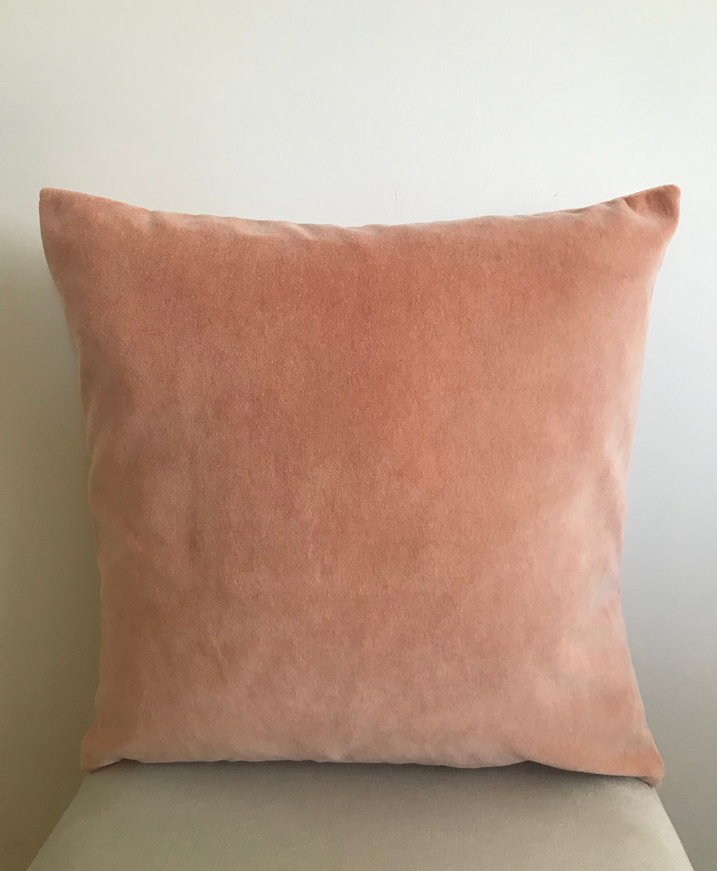 Velvet Salmon Pillow main image 0