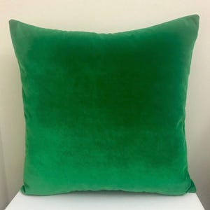 May include: A solid green velvet pillow cover. The pillow cover is soft and plush, and it would be a great addition to any home decor.