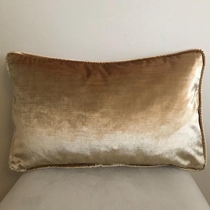 Può includere: Un cuscino decorativo rettangolare di colore beige dorato. Il cuscino ha una consistenza morbida e vellutata e una lucentezza sottile. I bordi sono rifiniti con un cordoncino più scuro e contrastante.